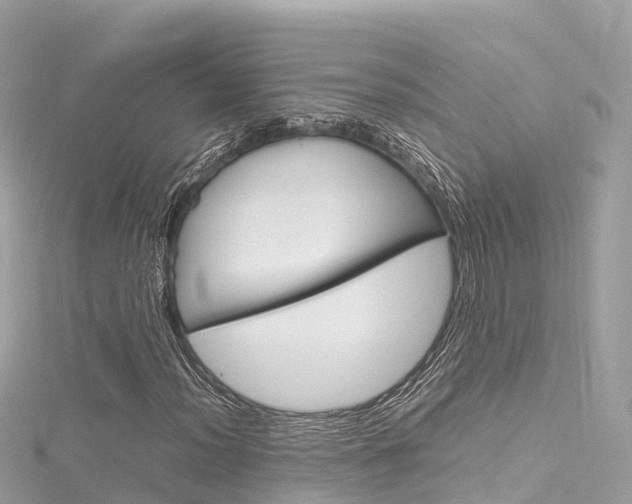 X0000116311012200911301031