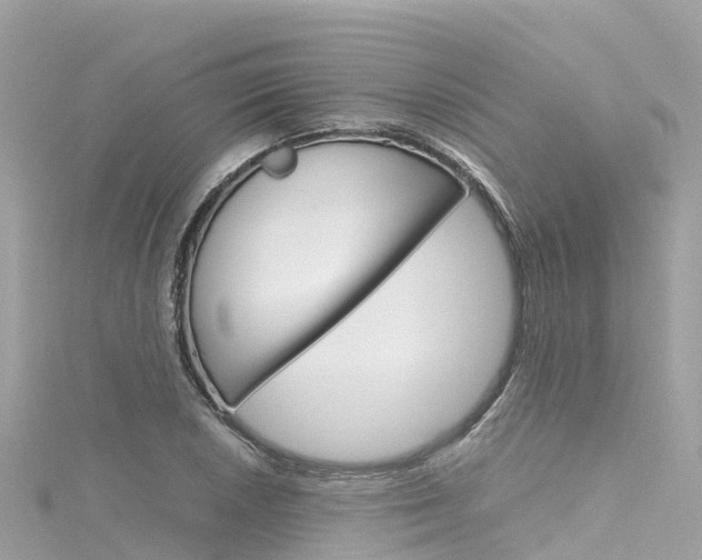X0000116311026200911301031