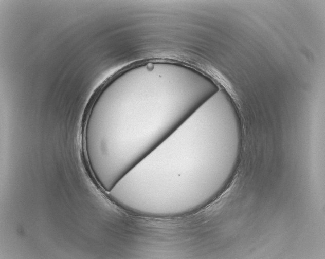 X0000116311028200911301031