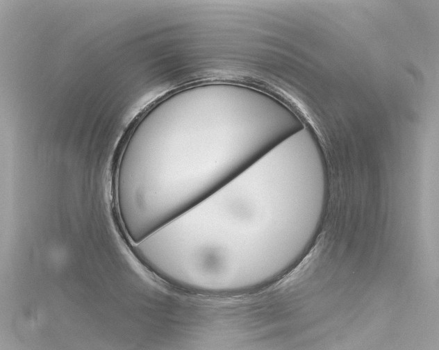 X0000116311034200911301031