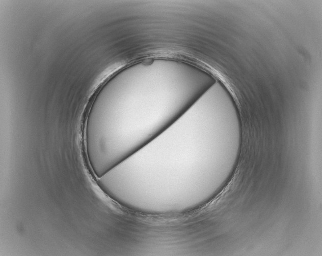 X0000116311042200911301031
