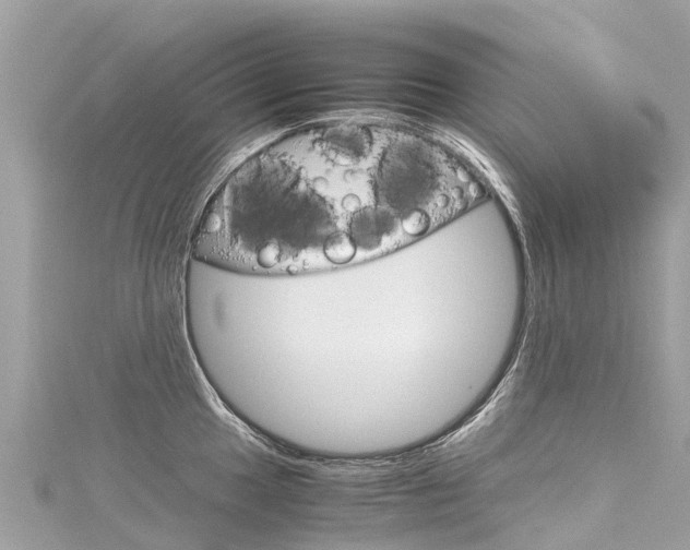 X0000116311049200911301031