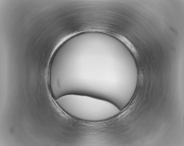 X0000116311052200911301031