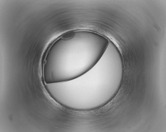 X0000116311080200911301030