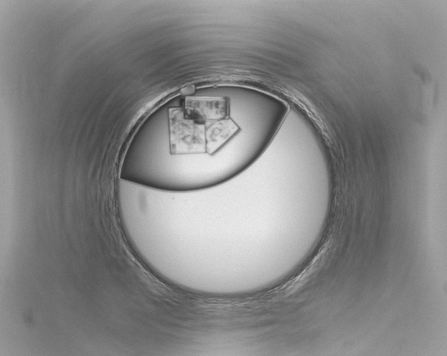 X0000116311081200911301030