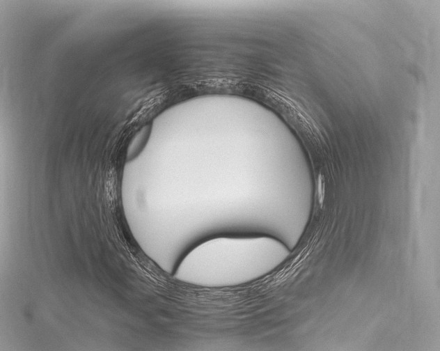 X0000116311107200911301029
