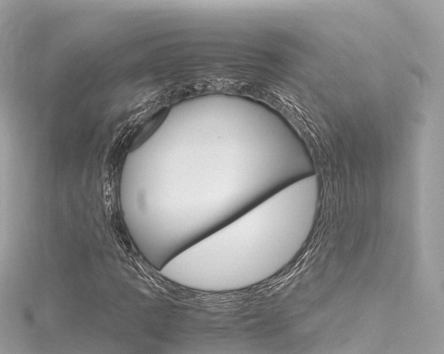 X0000116311109200911301029