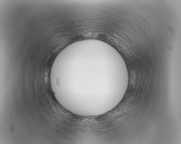 X0000116311154200911301029