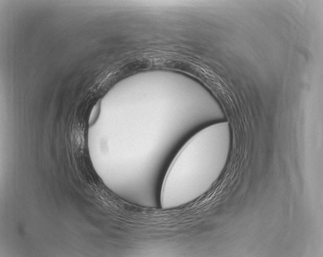 X0000116311155200911301029