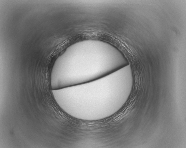 X0000116311156200911301029