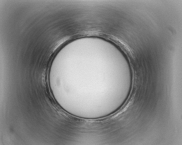 X0000116311162200911301029