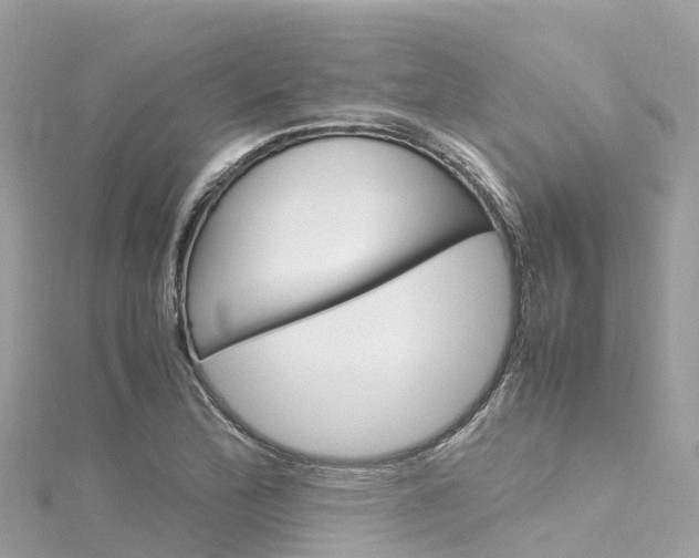X0000116311172200911301029