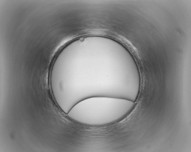 X0000116311174200911301029