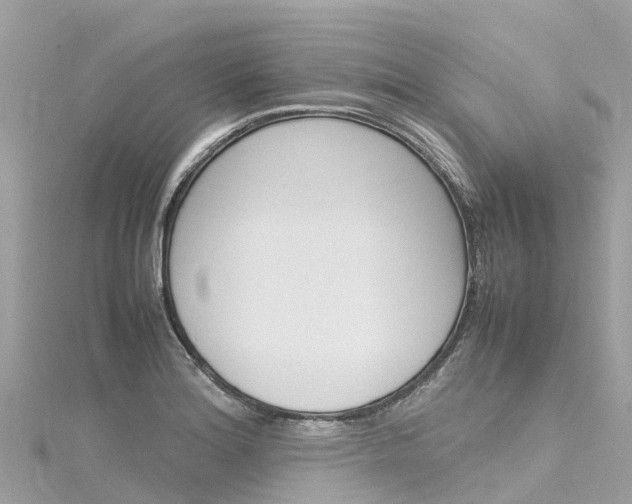 X0000116311180200911301029