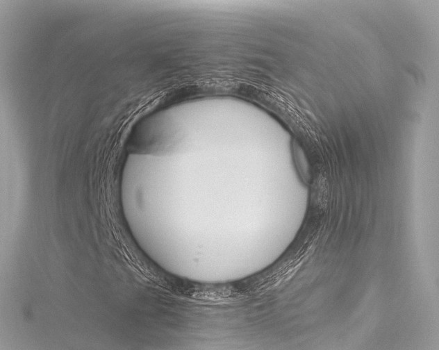 X0000116311201200911301028