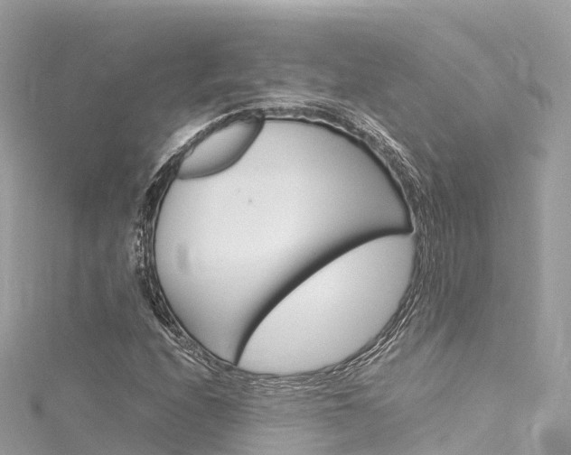 X0000116311208200911301028