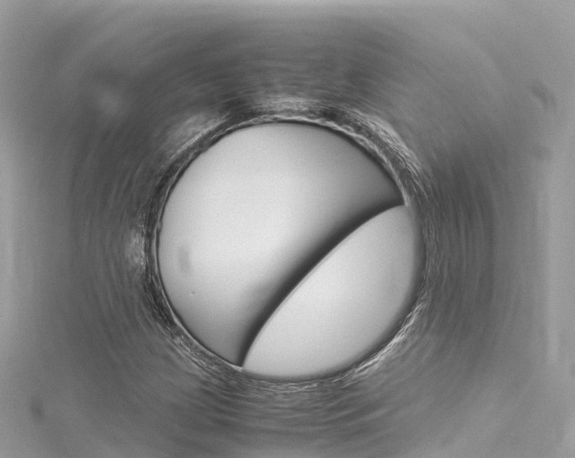 X0000116311209200911301028