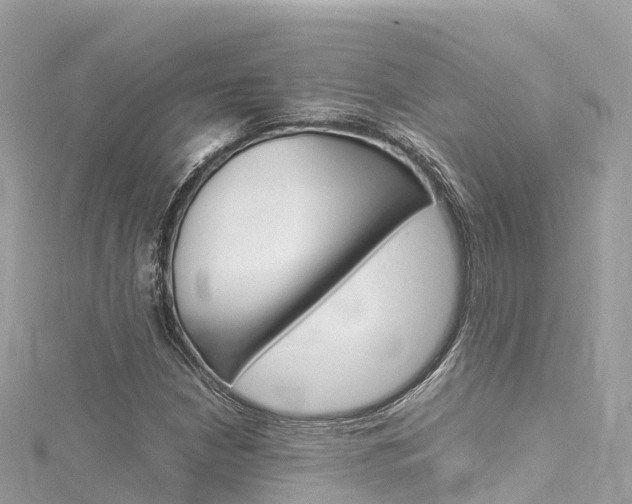 X0000116311210200911301028