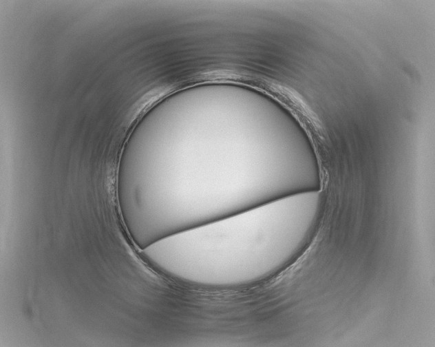 X0000116311225200911301028