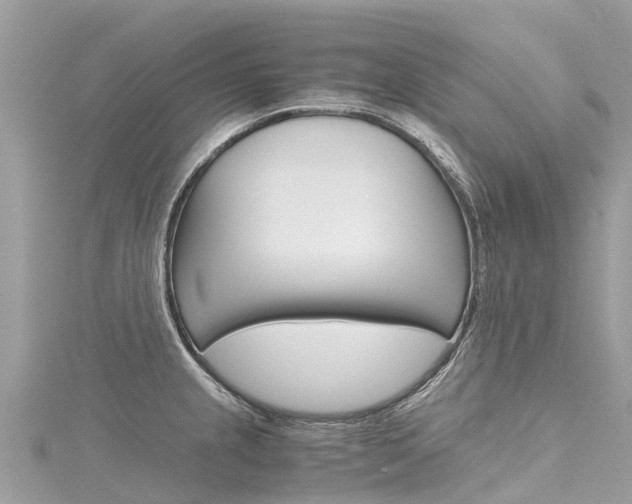 X0000116311237200911301029