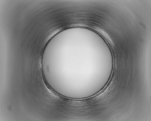 X0000116311241200911301029