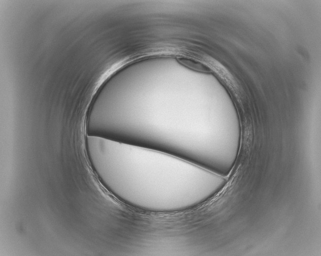 X0000116311242200911301029