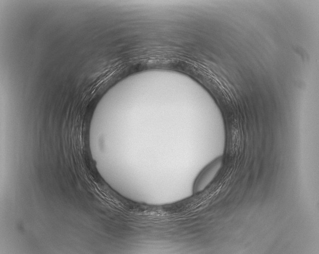 X0000116311250200911301028