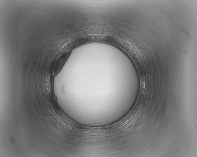 X0000116311252200911301028
