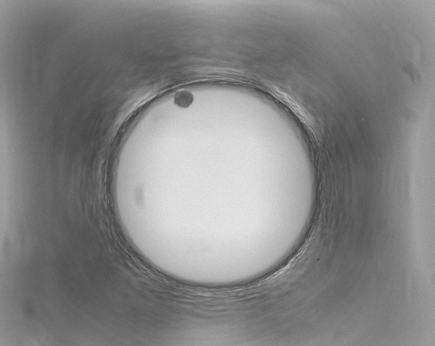 X0000116311261200911301028