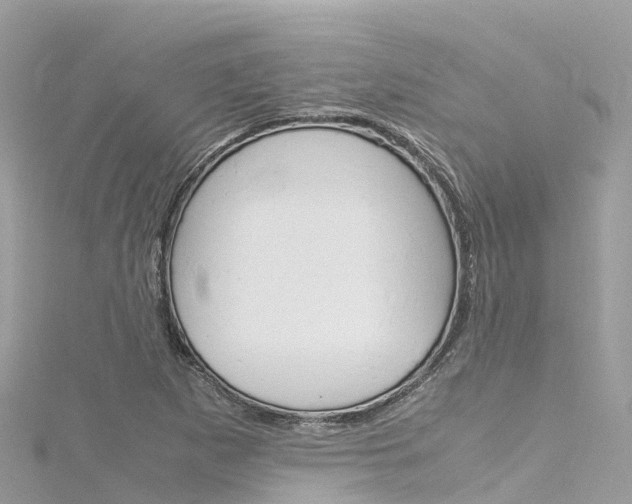 X0000116311265200911301028