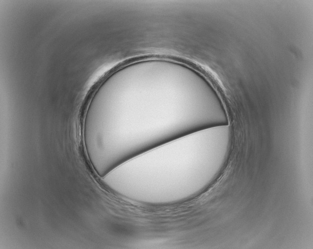 X0000116311271200911301028