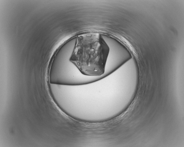 X0000116311285200911301028