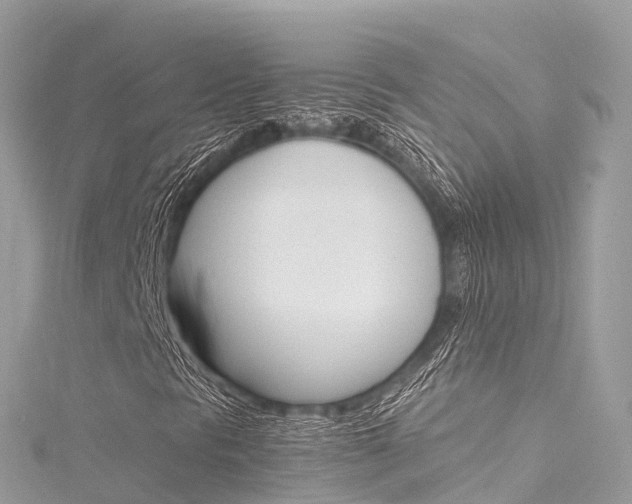 X0000116311297200911301027