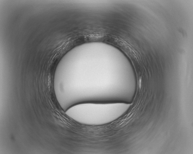X0000116311299200911301027