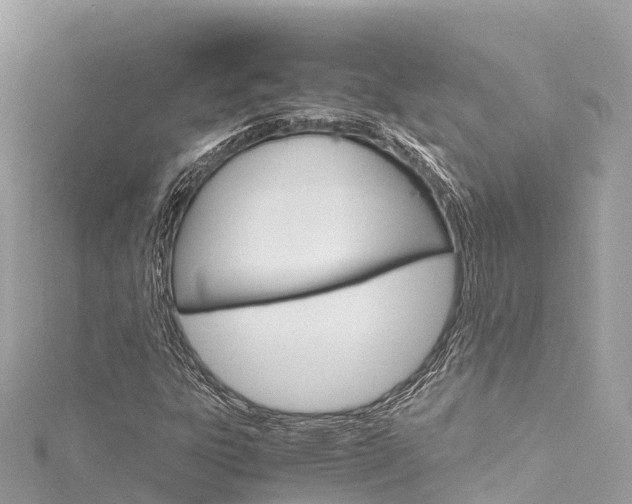 X0000116311303200911301027