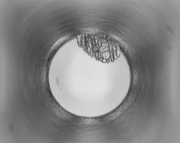 X0000116311314200911301027