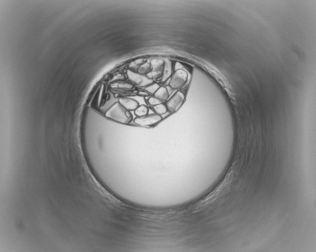 X0000116311326200911301027