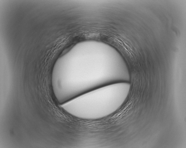 X0000116311345200911301027