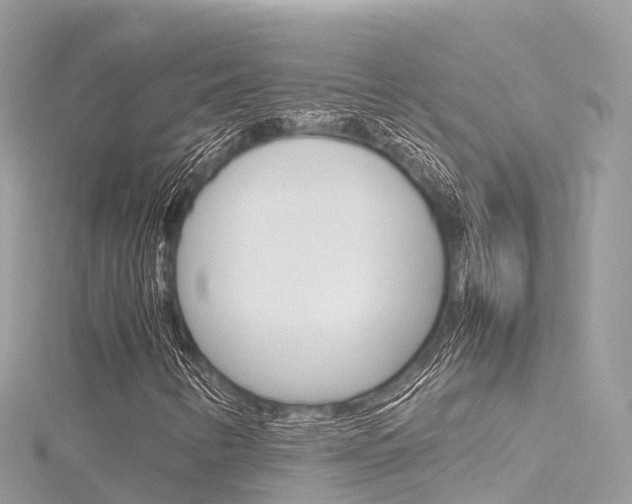 X0000116311346200911301027