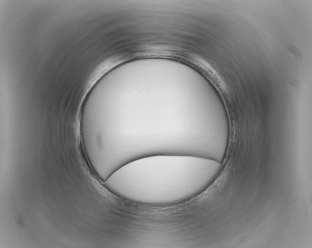 X0000116311370200911301026