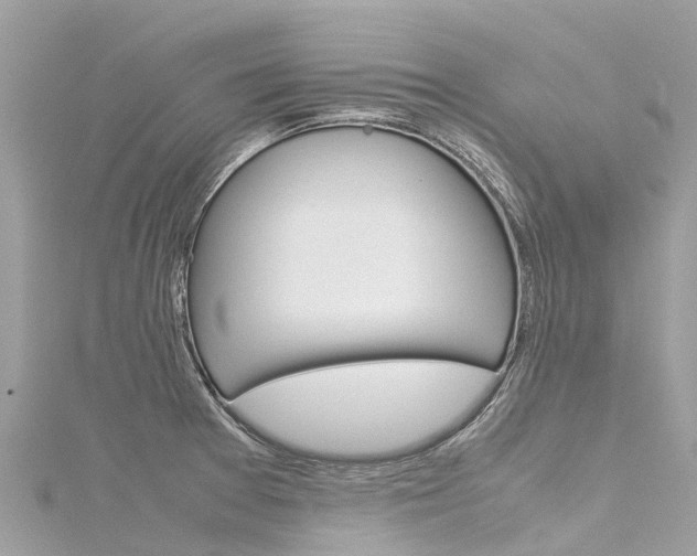 X0000116311377200911301026