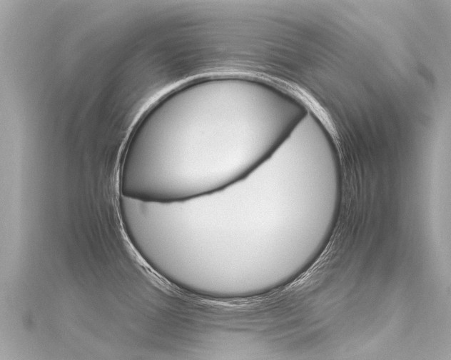 X0000116311388200911301026