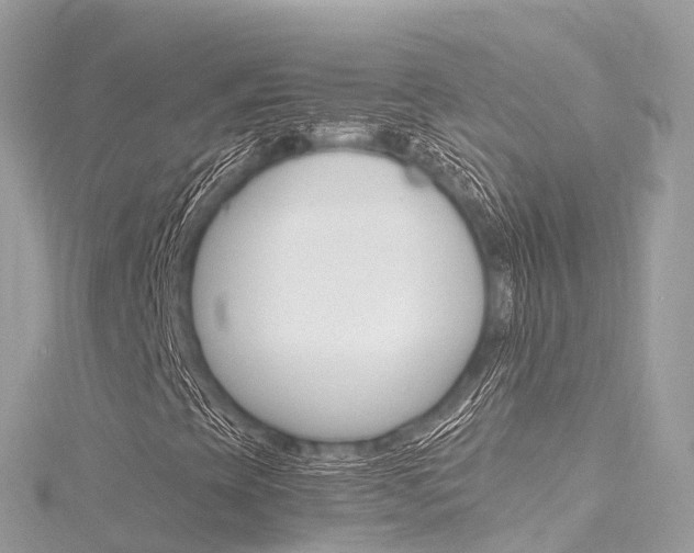 X0000116311393200911301025