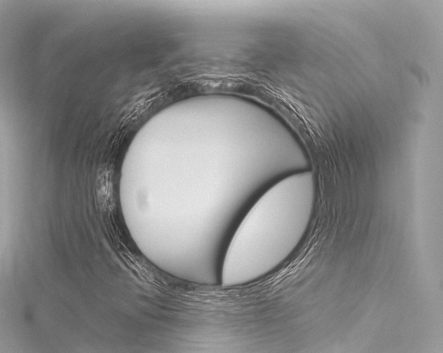 X0000116311396200911301025