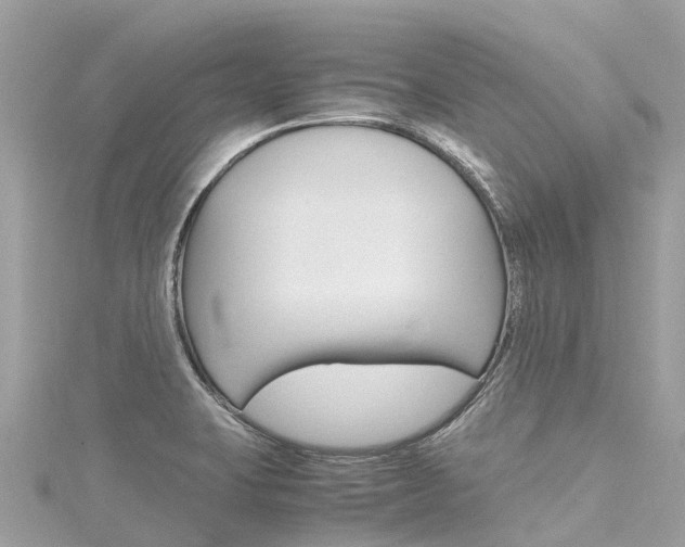 X0000116311423200911301026