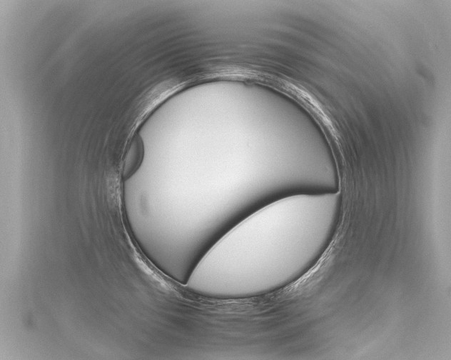 X0000116311433200911301026