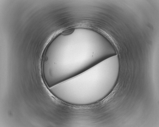 X0000116311434200911301026