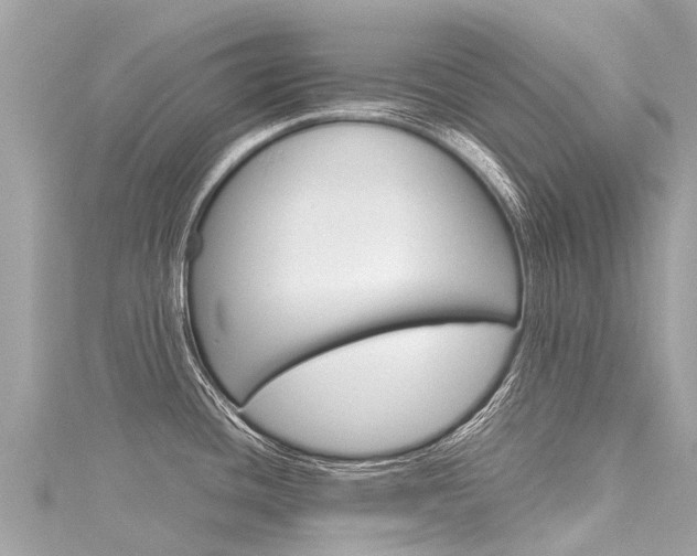 X0000116311436200911301026