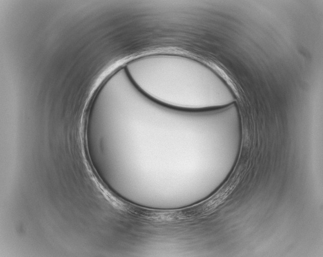 X0000116311438200911301026