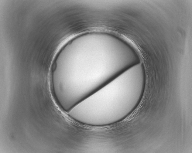 X0000116311440200911301026